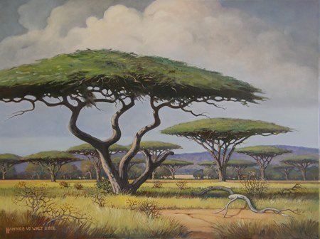 Oil on Stretched CanvasSize: (610x455x18)mm Frame: (776X571X30)mmSOLD 2012 SOUTH AFRICA
